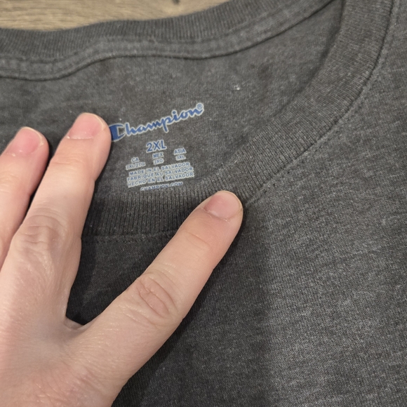 Champion Gray T-Shirt with Multicolor Logo - Picture 4 of 4